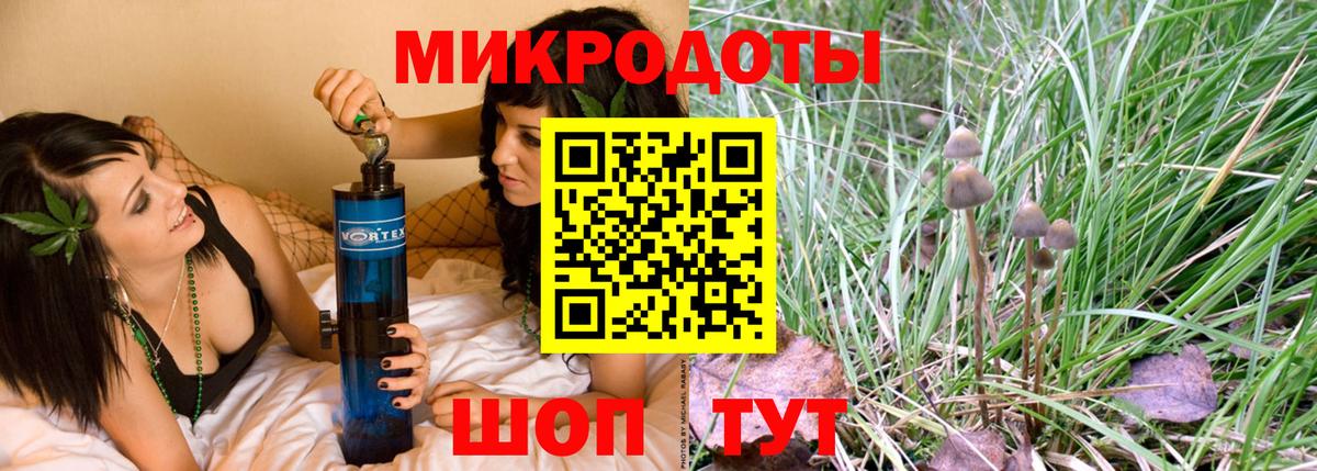 Котовск  Псилоцибиновые грибы мухоморы  Вход с VPN  купить  сайты  Псилоцибиновые грибы ЛСД 