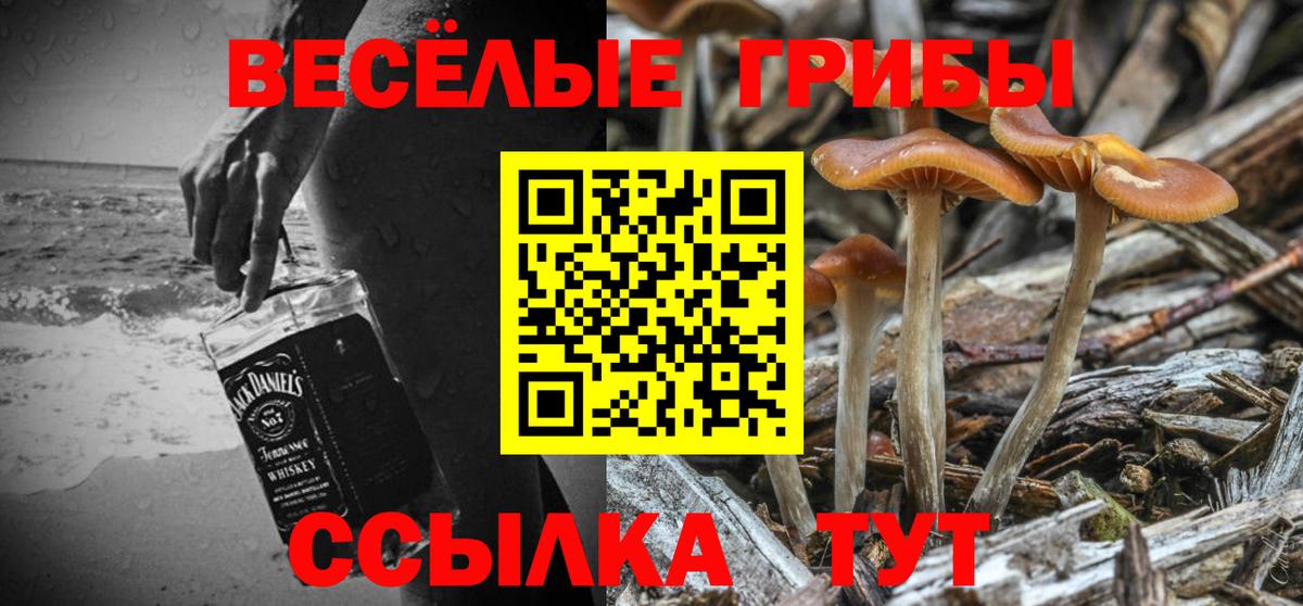 Галлюциногенные грибы прущие грибы Котовск